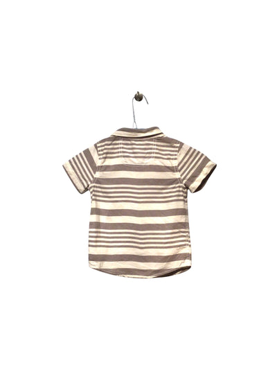 TOMMY BAHAMA Regular fit T-shirt in Gray  -  24M  15.60 Koop